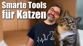 Smarte Gadgets für smarte Katzen | c’t uplink